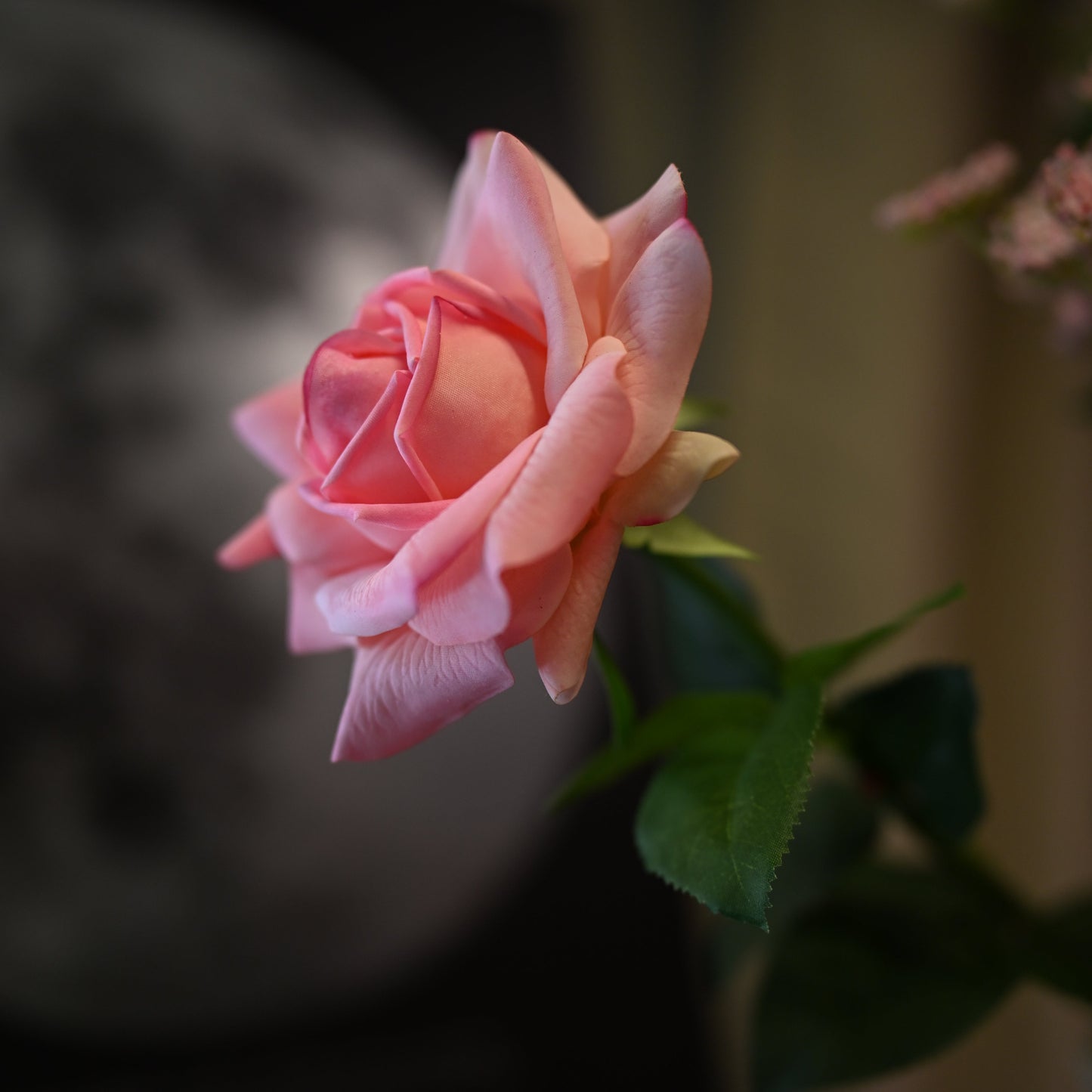 28" Real Touch Rose