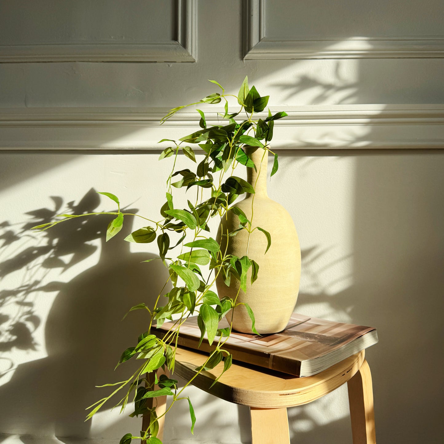 Pothos Hanging Vine