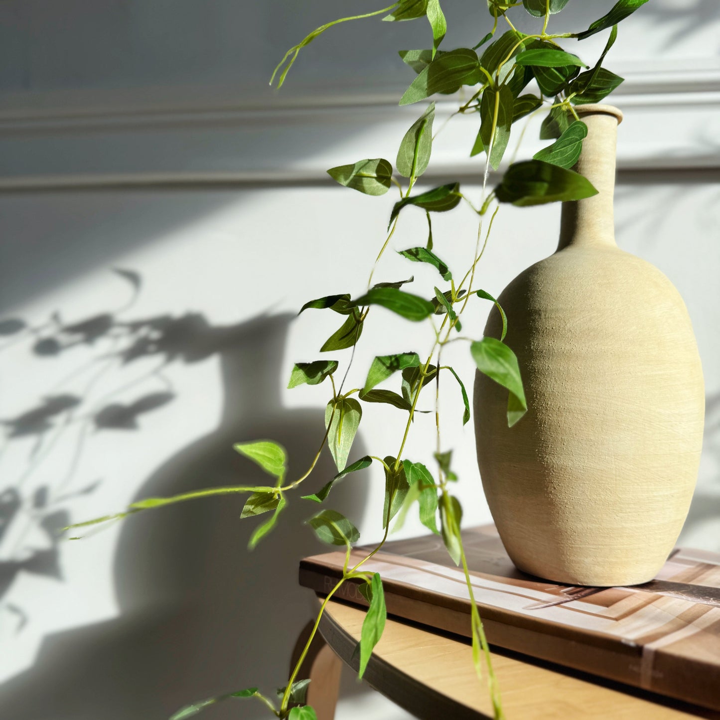 Pothos Hanging Vine