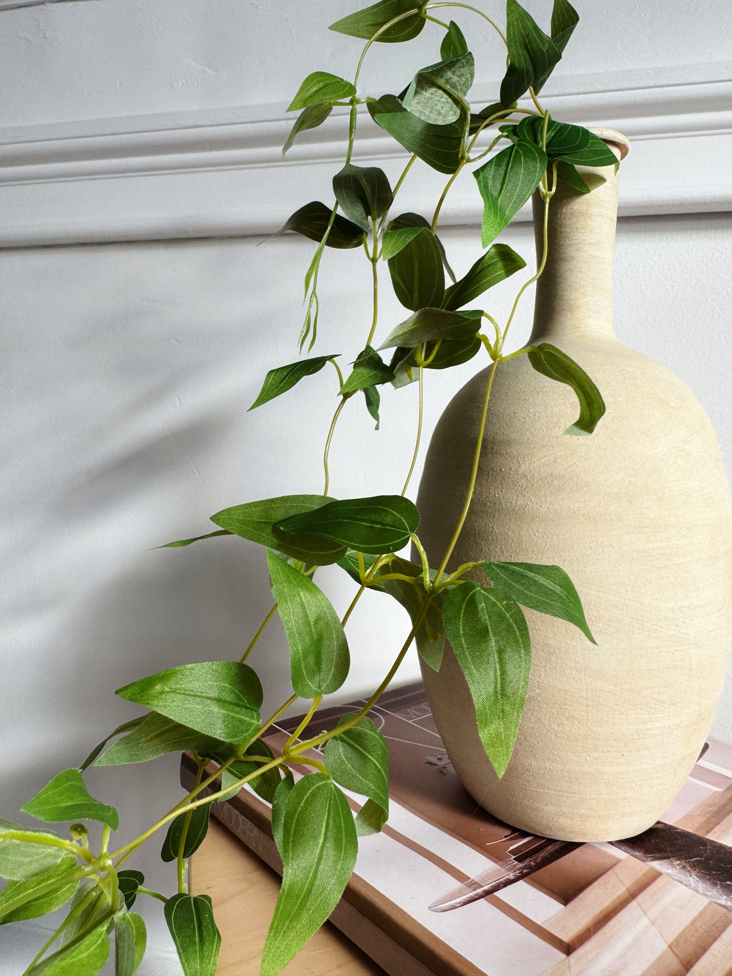 Pothos Hanging Vine