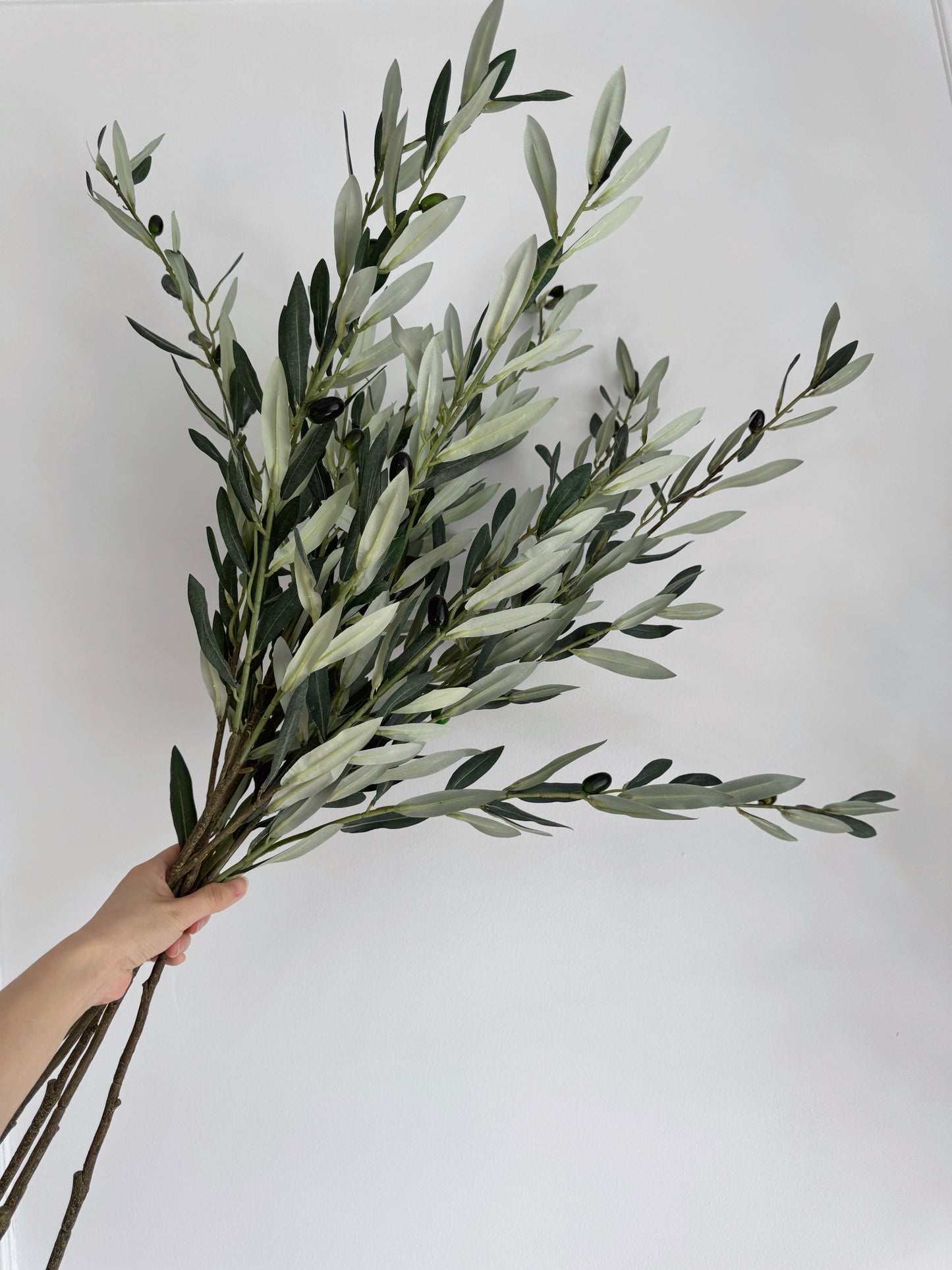 Two Sizes Green Olive Leaf Branch