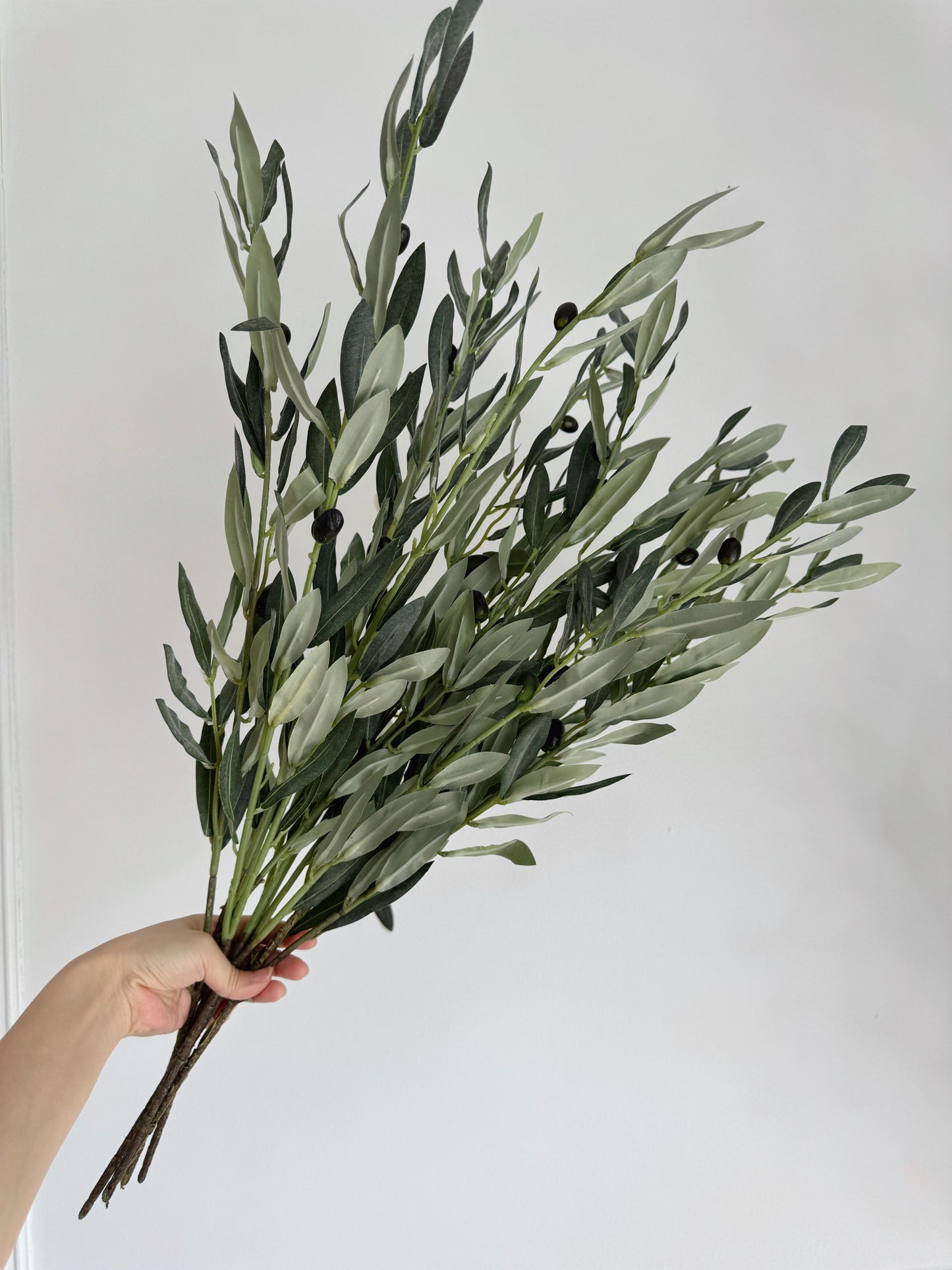 Two Sizes Green Olive Leaf Branch