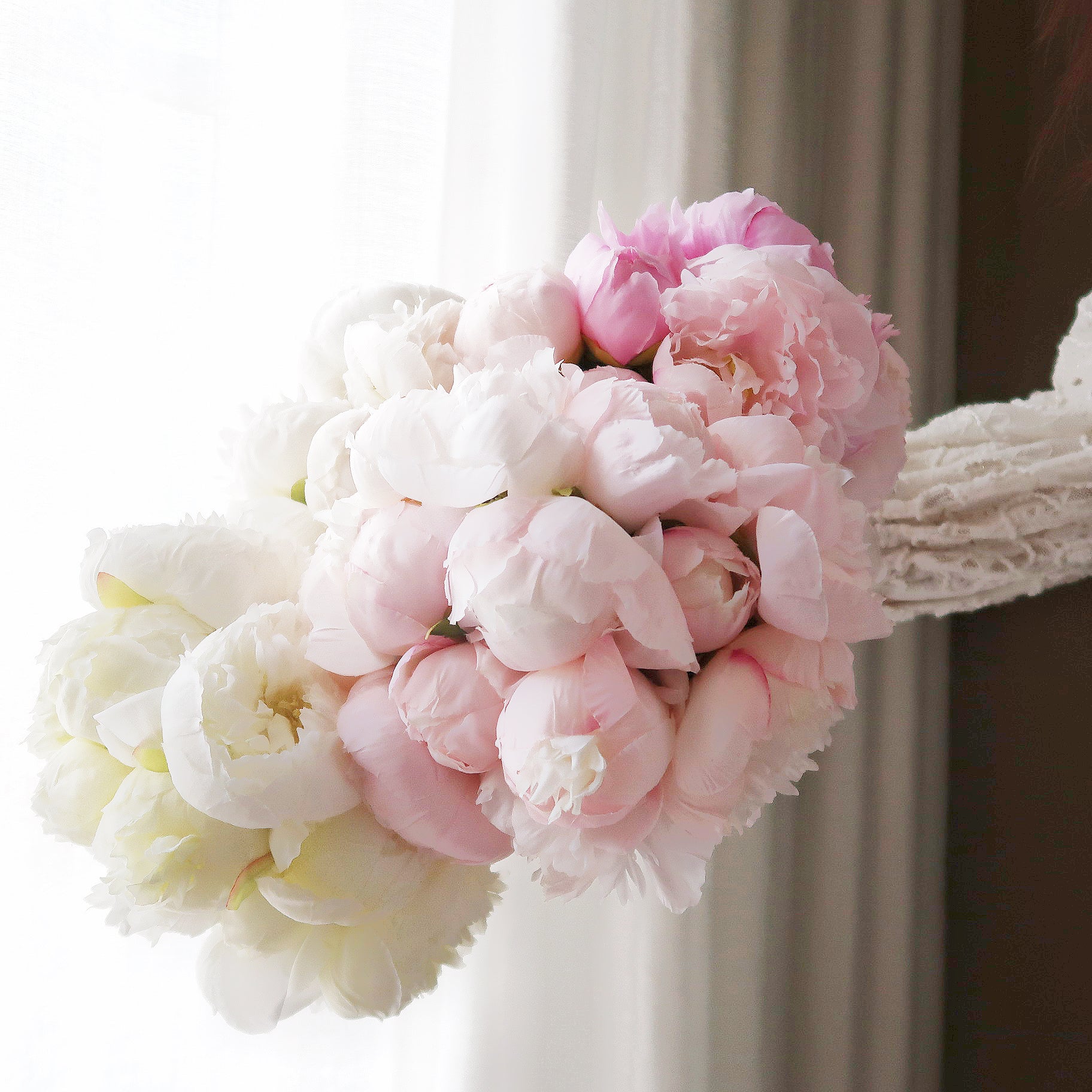 Collections – Chloris Gardens