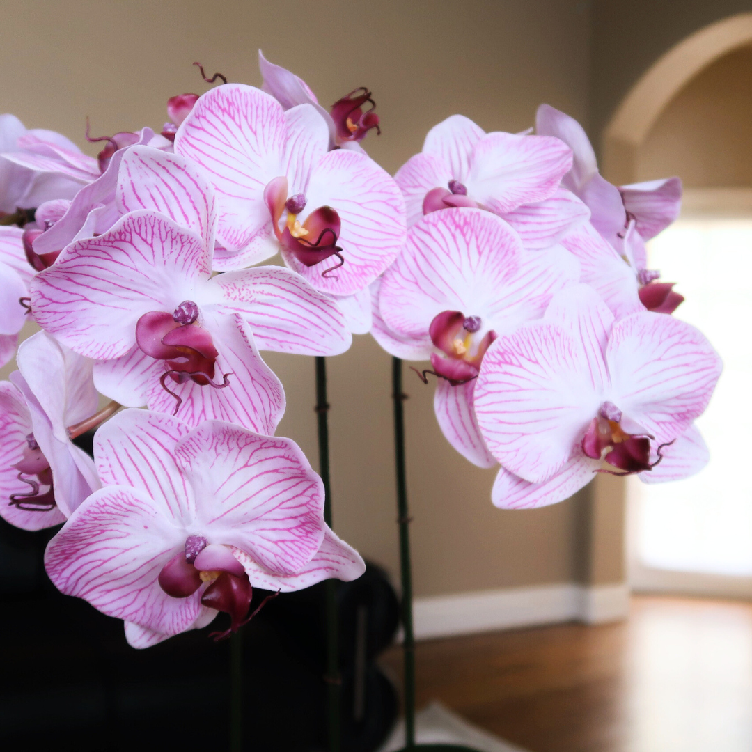 8-Head 32" Pink Orchid Stem