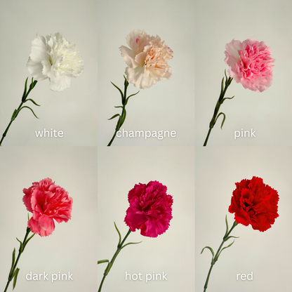 19" Real Touch Carnation Flower Stem