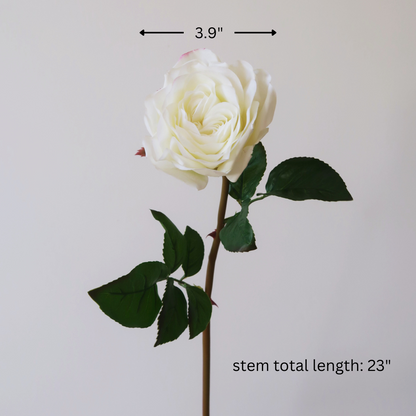 23” Real Touch Austin Rose Stem