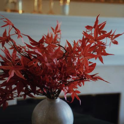 Japanese Red Maple Leaf Branch