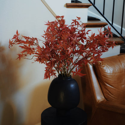 Japanese Red Maple Leaf Branch