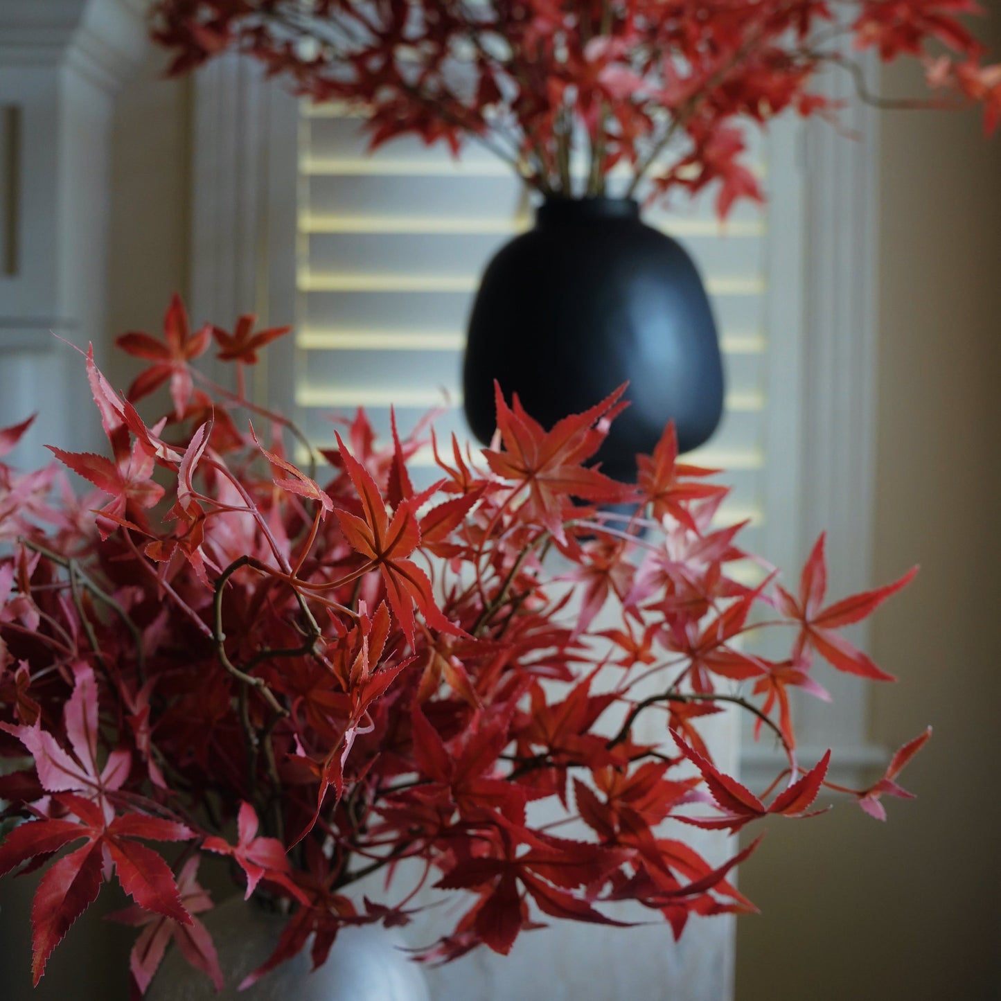 Japanese Red Maple Leaf Branch