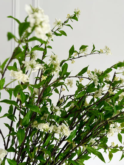 39" Snow Willow Branch with Blossoms and Leaves