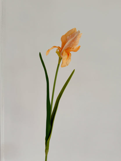 23" Faux Iris Flower Branch