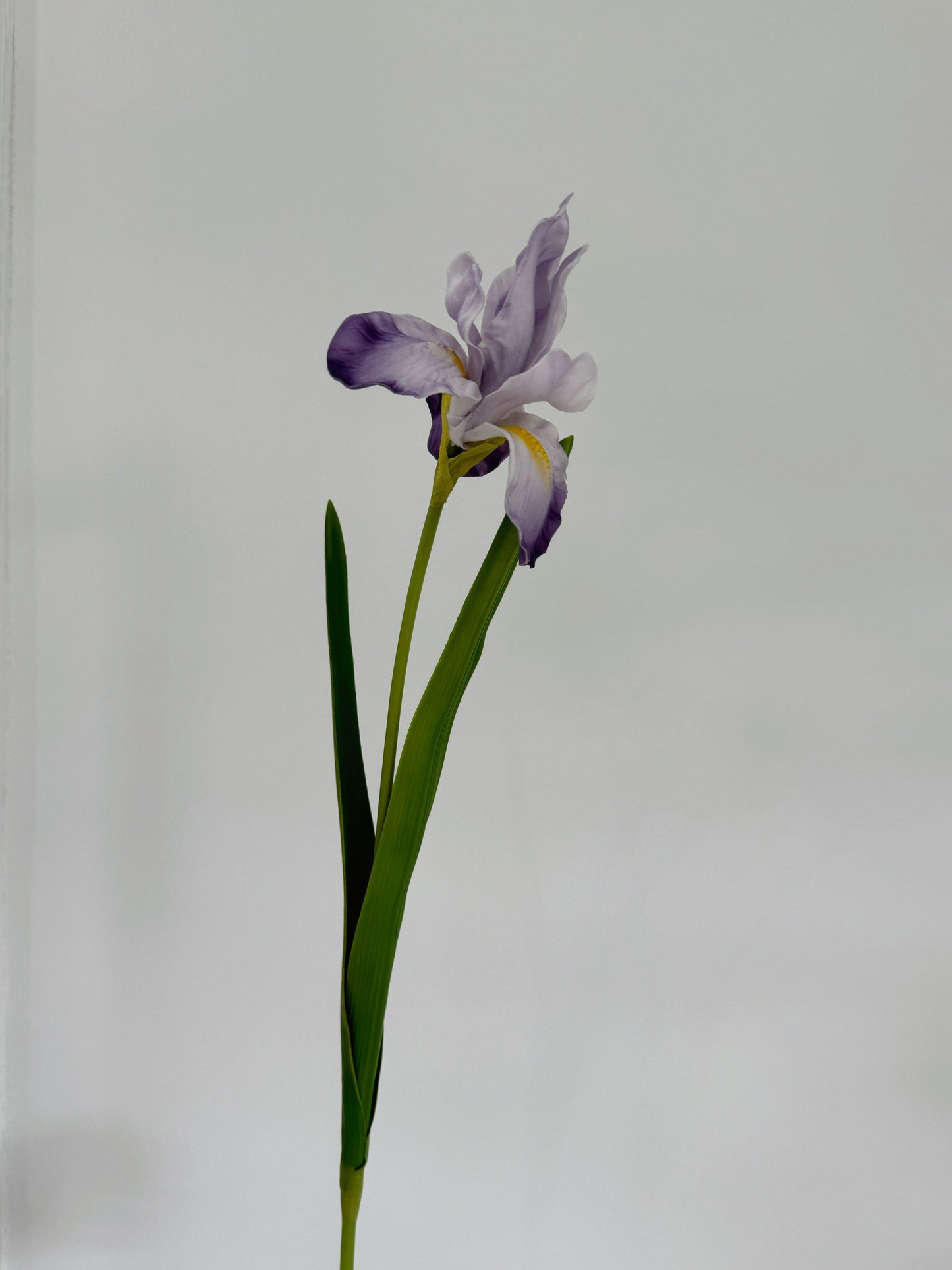 23" Faux Iris Flower Branch