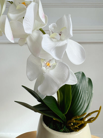 18" Potted Real Touch Orchid