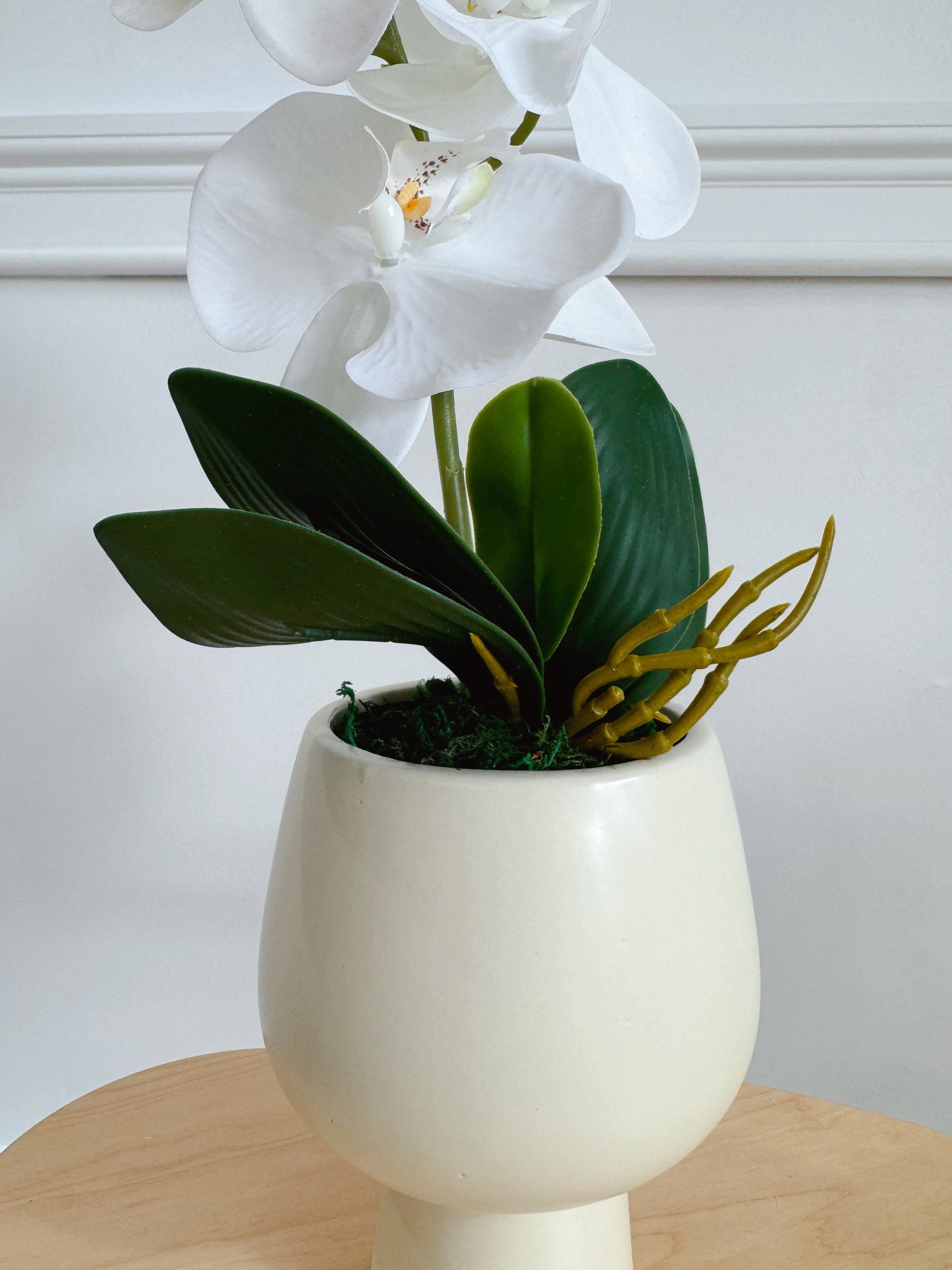 18" Potted Real Touch Orchid