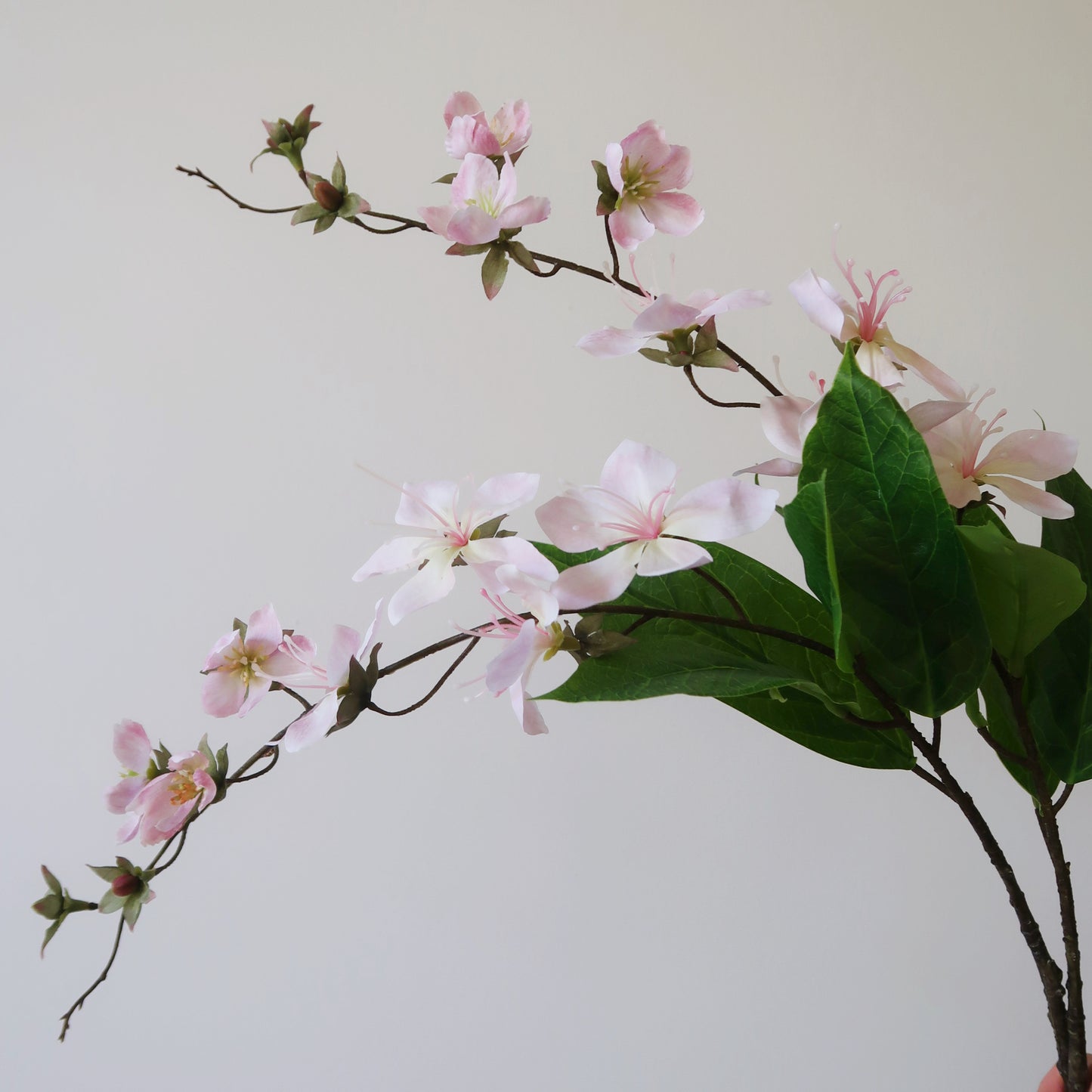 31'' Faux Clerodendrum Wallichii Branches