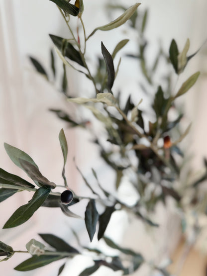 44" Grey-Green Olive Leaf Branch