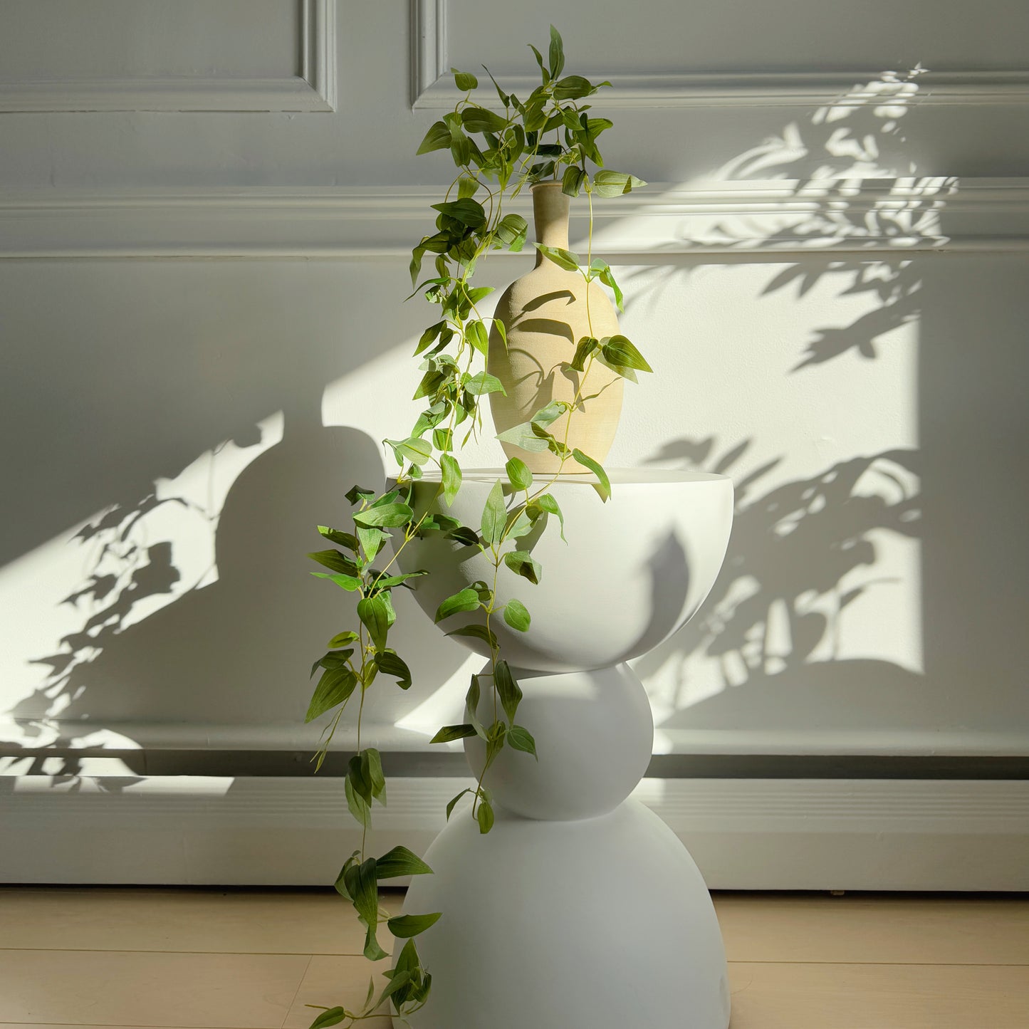 Pothos Hanging Vine