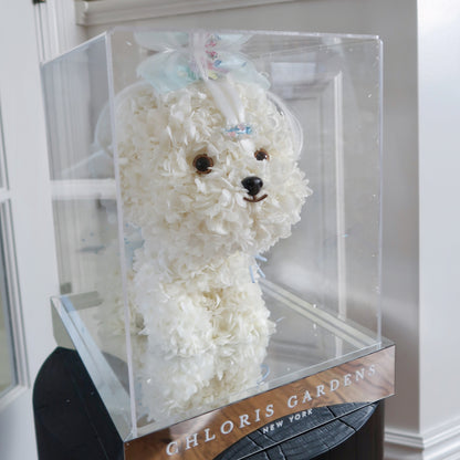 Preserved Real Flower Puppy Bouquet