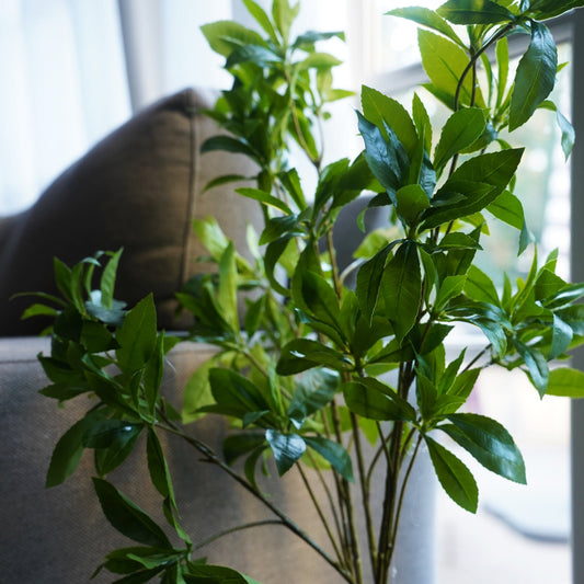 Pieris Japonica Branch | Faux Greenery