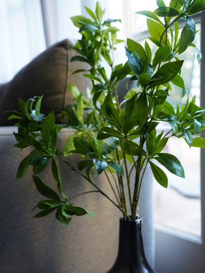 Pieris Japonica Branch | Faux Greenery