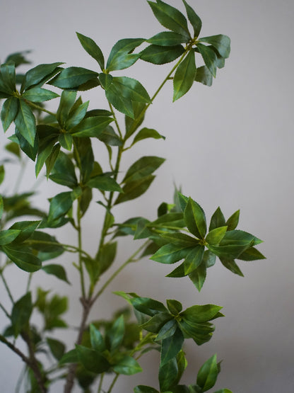 Pieris Japonica Branch | Faux Greenery