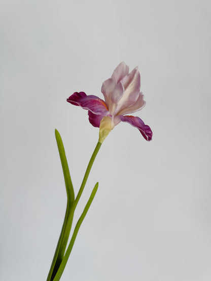 23" Faux Iris Flower Branch