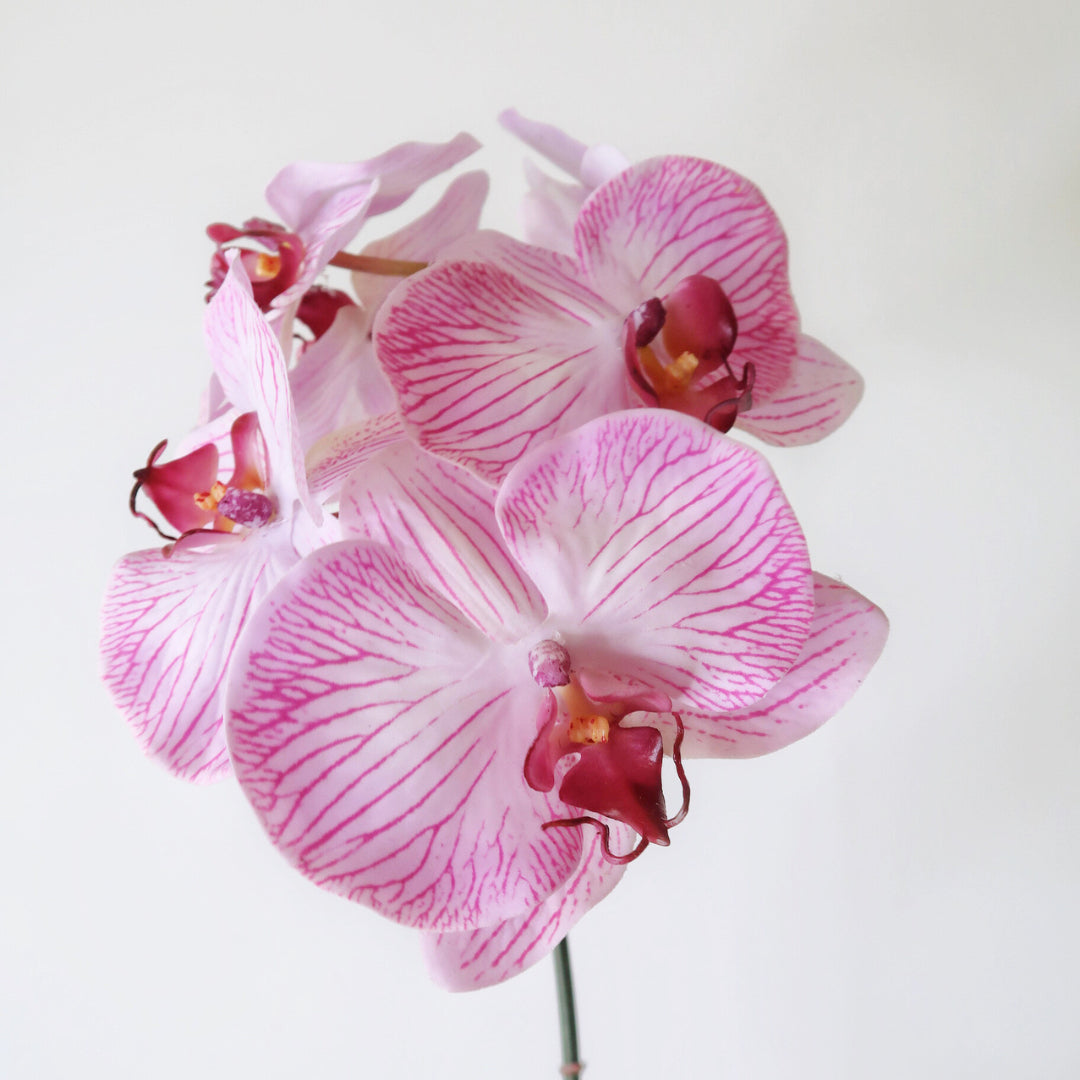 8-Head 32" Pink Orchid Stem