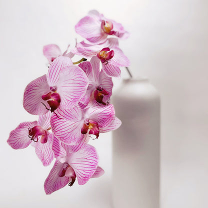 8-Head 32" Pink Orchid Stem