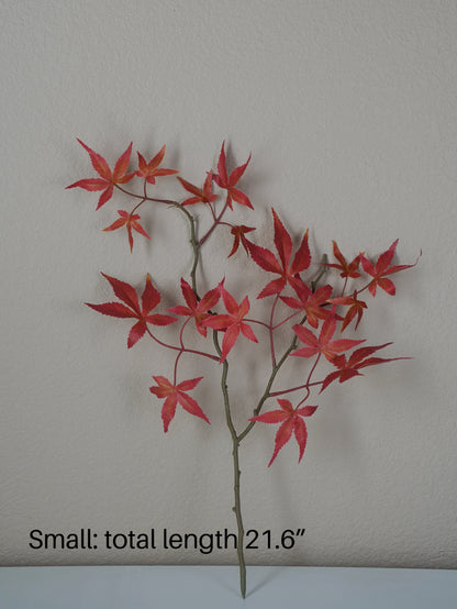 Japanese Red Maple Leaf Branch