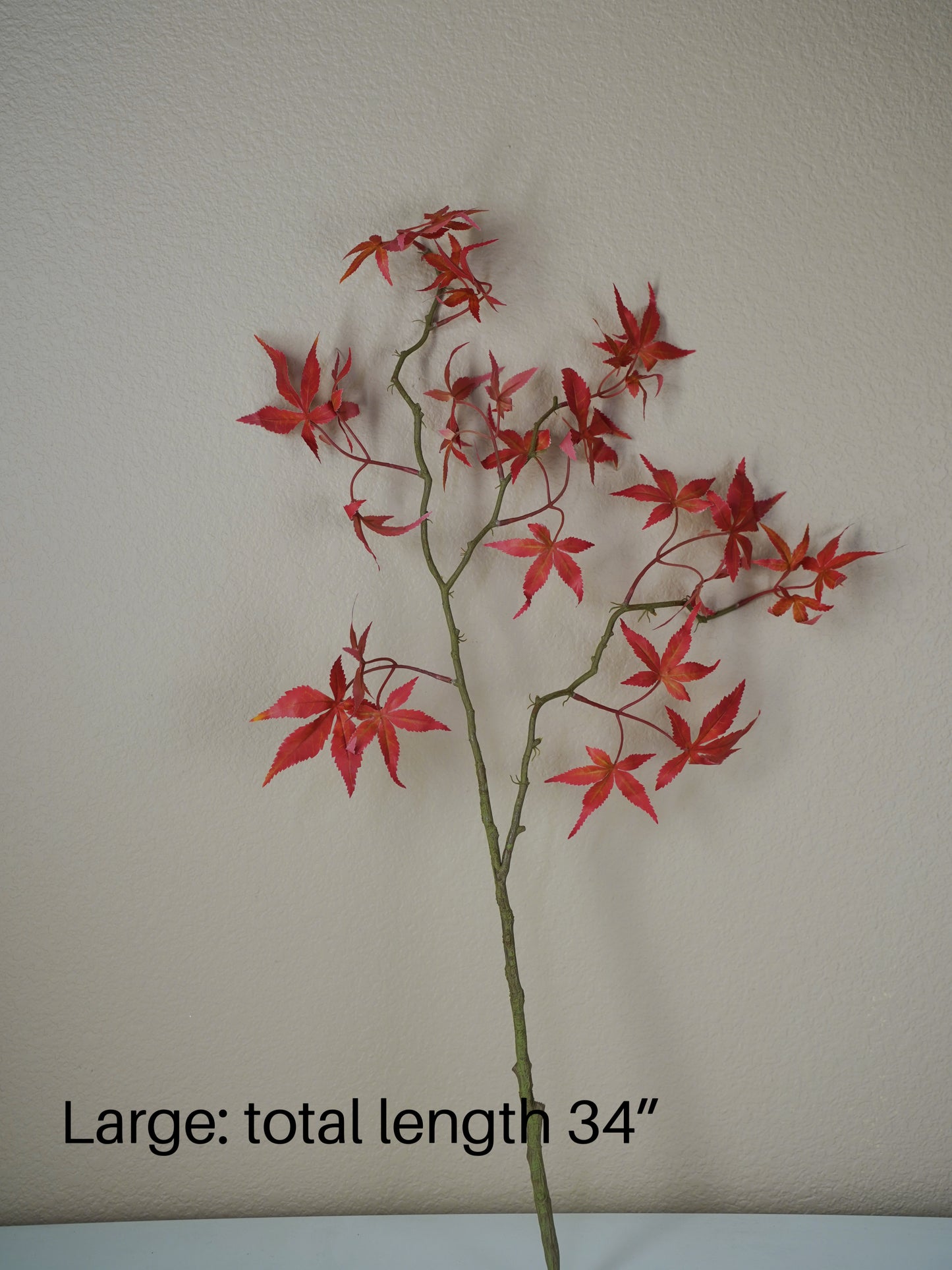 Japanese Red Maple Leaf Branch