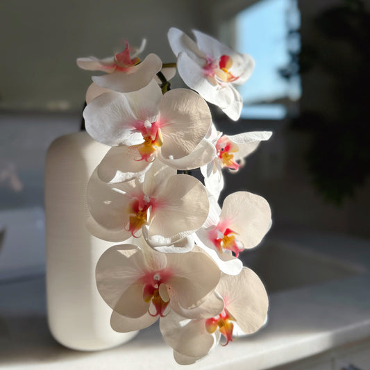 38" 8 Heads White Orchid Stem