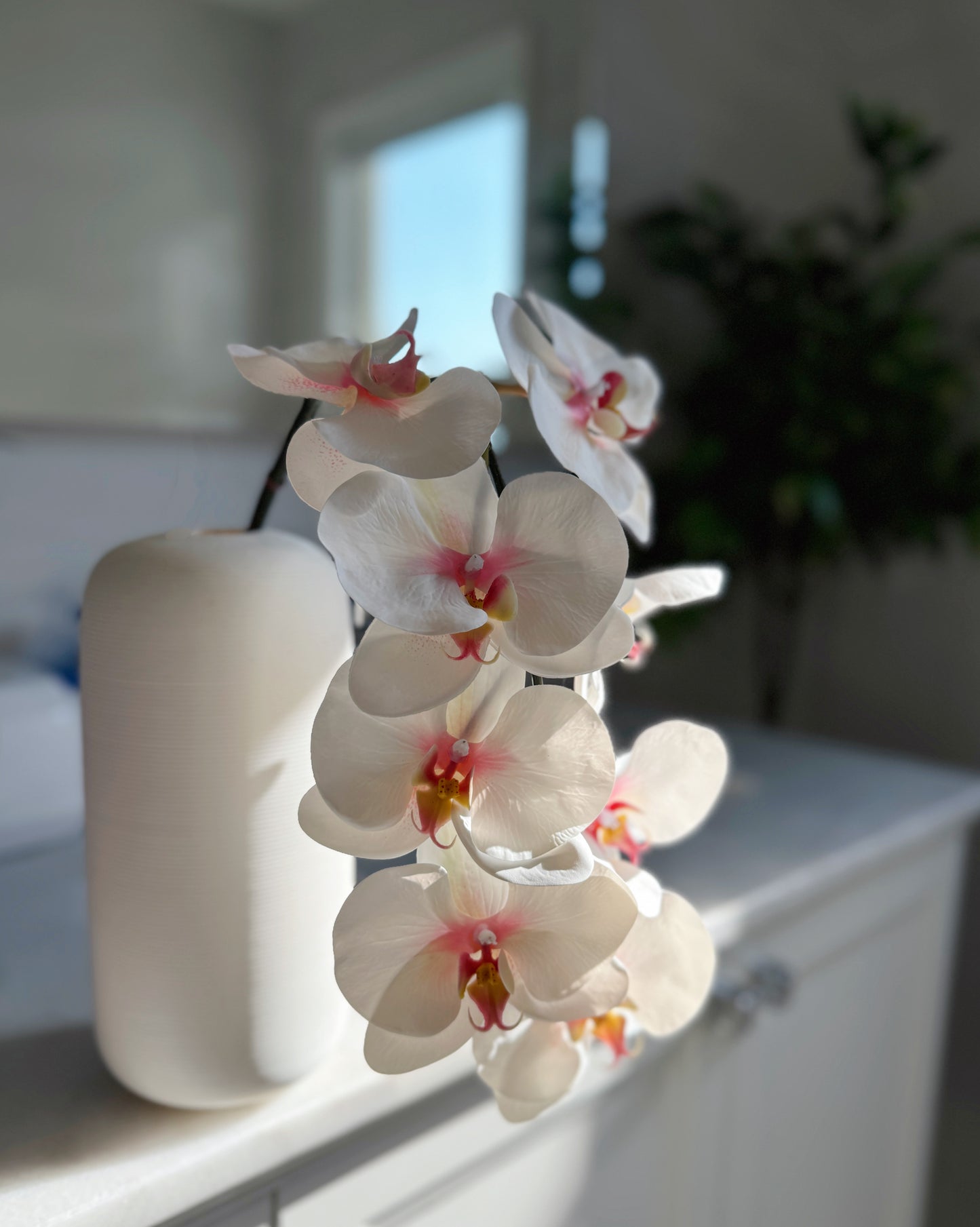 38" 8 Heads White Orchid Stem