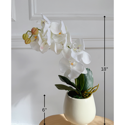 18" Potted Real Touch Orchid