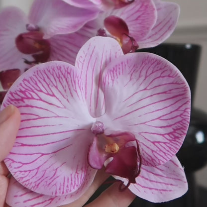 8-Head 32" Pink Orchid Stem